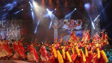 વાઇબ્રન્ટ ગુજરાત પ્રી-નવરાત્રી ફેસ્ટિવલ-2025 અંતર્ગત ઉદયપુર ખાતે ખાસ ઉજવણી કરાશે