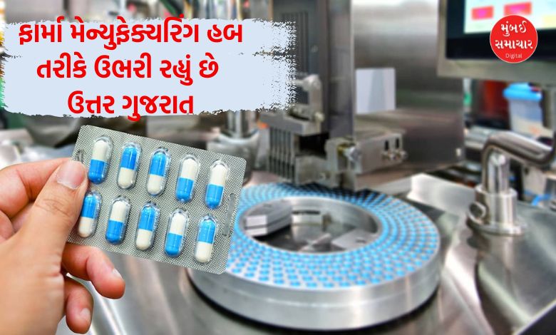 ગુજરાતના ફાર્માસ્યુટિકલ્સ ઉત્પાદનમાં ઉત્તર ગુજરાતનો કેટલો છે ફાળો? જાણો