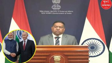 NATO chief statement about talks between PM Modi and Russian President false