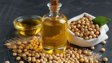 Soybean, Palm Oil Futures See Gains