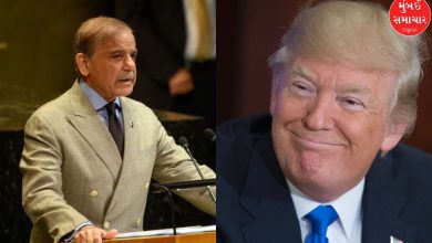 Pakistan nominates Donald Trump for Nobel Peace Prize at UN