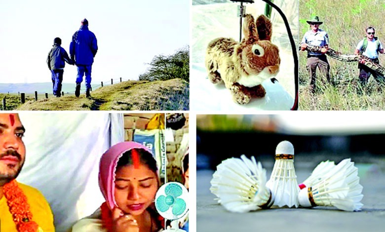અજબ ગજબની દુનિયા!: જીવન ચલને કા નામ, શીખતે રહો સુબહ-ઓ-શામ