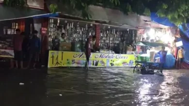 bhadarvi poonam maha mela 2025 ambaji heavy rain update