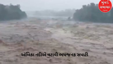 Landslide in Dang Ahwa, Ambika River crosses danger level