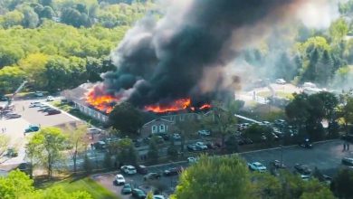 અમેરિકામાં મિશિગનના ચર્ચમાં ઓપન ફાયરિંગ થતા 4 લોકોનું મોત, અનેક ઘાયલ