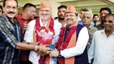 BJP's grand victory in Amul elections: BJP wins in 11 out of 13 blocks