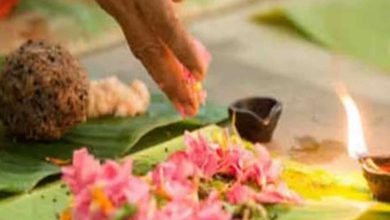 Please feed this little creature so that the ancestors may find peace in the ancestral home.