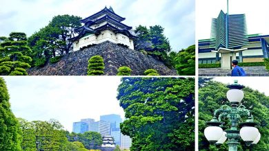 અરાઉન્ડ ધ વર્લ્ડઃ એડો કાસલ-વાત જાપાનીઝ શોગુન્સ, સામુરાઈ ને રાજ પરિવારની...