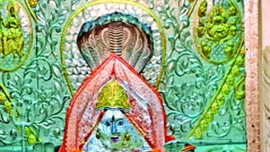 Beyond the picture: The artistic temple of Naganeshwari Mataji…