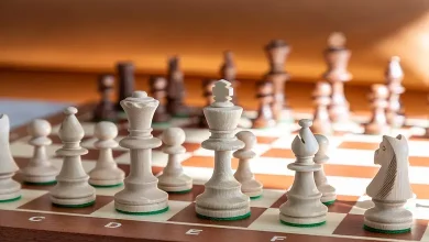 ગુજરાતનું ટચૂકડું ગામ ચેસ જગતને અનેક ગ્રેન્ડમાસ્ટર આપવા માગે છે