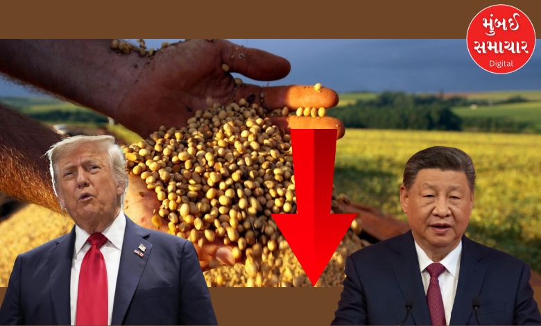 What is the situation in America worse than China stopping buying it?