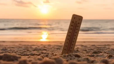 ક્લાઈમેટ ચેન્જ રિપોર્ટ ત્રીજો સૌથી ગરમ ઓગસ્ટ 2025