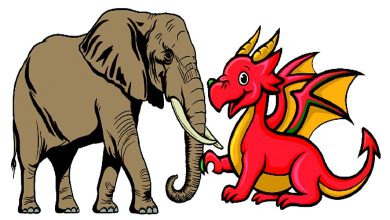 Cover Story: How much can you trust a stinging dragon?