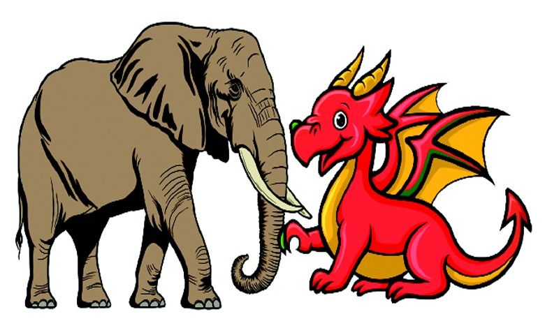 Cover Story: How much can you trust a stinging dragon?