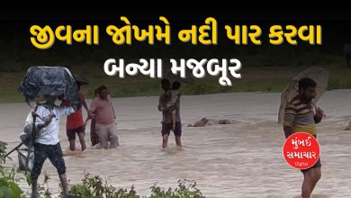 'Bridge' a dream for 400 families living in Danta, Banaskantha: Forced to cross the river at the risk of their lives: VIDEO