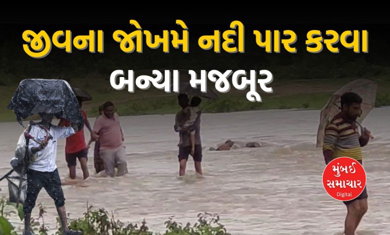 'Bridge' a dream for 400 families living in Danta, Banaskantha: Forced to cross the river at the risk of their lives: VIDEO