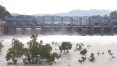 Water released from Dharoi Dam: Sabarmati Ganditoor, fear of flood in coastal areas!