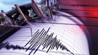 Nurse stays by newborn babies in hospital without fear of earthquake, watch video