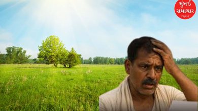 A farmer lost his hard-earned income of lakhs after falling into the trap of a fraudster.