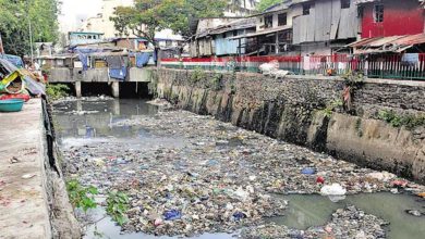 બે વર્ષમાં એક લાખથી વધુ શ્ર્વાનનું વેક્સિનેશન ૨૦૩૦ સુધીમાં મુંબઈ રેબિસ મુક્ત થશે