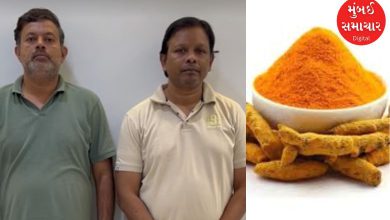 Turmeric worth Rs 194 crores was purchased from traders in Gujarat and lime was applied, know what the scam is