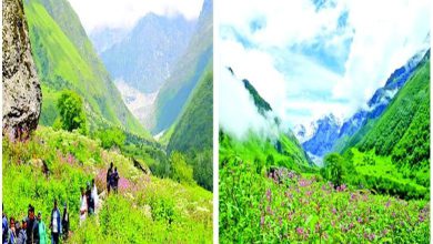 Travel Plus: A journey of colors and fragrances in the Himalayas is a priceless gift from nature...