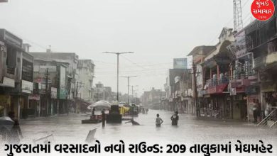Gujarat Rain lashed 209 talukas red alert in five districts today