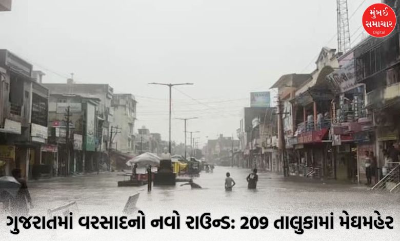 Gujarat Rain lashed 209 talukas red alert in five districts today