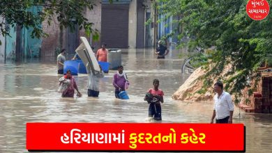 12 killed in heavy rains in Haryana, CM announces assistance