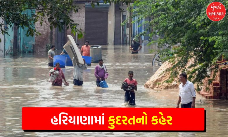 12 killed in heavy rains in Haryana, CM announces assistance
