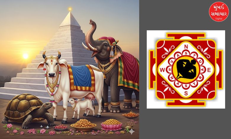This Vastu Shastra remedy will make you rich, bring these 4 things into your home immediately