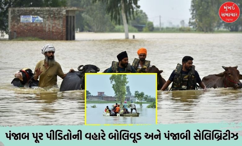 Devastating floods in Punjab: Bollywood and Punjabi celebrities appeal for help for those affected