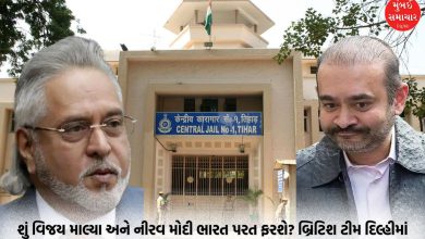 Preparations to bring Vijay Mallya, Nirav Modi to India! British team visits Tihar Jail