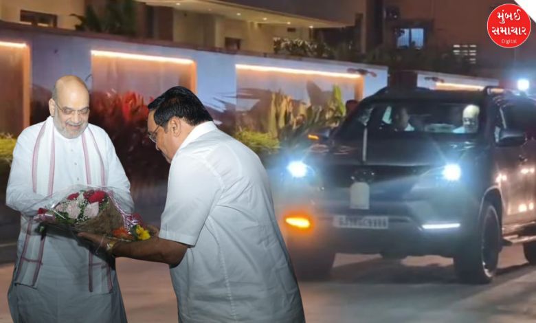 Surat: Amit Shah discussed what in the meeting at C.R. Patil's house?