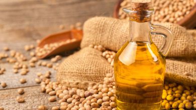 Soybean oil futures fall in Chicago, local market stable