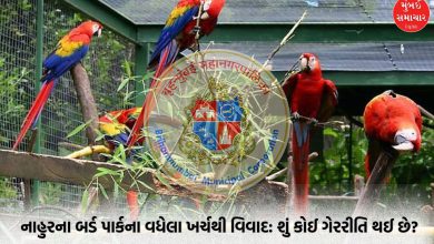 Transparency in Bird Ivory Project: No Irregularities Found