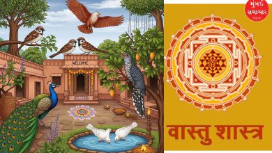 Girl, 15, Bitten by Snake 6 Times in a Month, Village in Fear