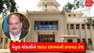 What facilities provided to scammer Mehul Choksi in Tihar Jail India informs Belgium