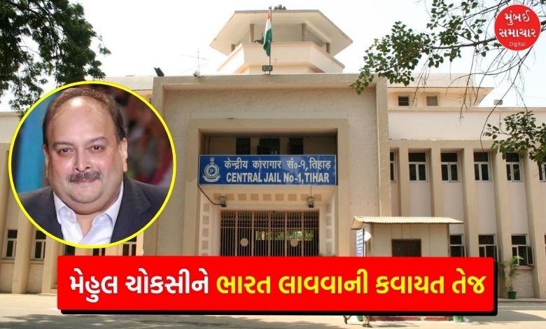 What facilities provided to scammer Mehul Choksi in Tihar Jail India informs Belgium