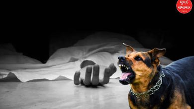 Mourning in Ahmedabad police station, PI dies of rabies