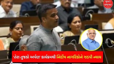 Tera Tujko Arpan: Gujarat Police returns seized goods worth over Rs 500 crore