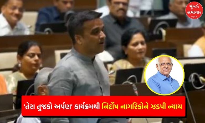 Tera Tujko Arpan: Gujarat Police returns seized goods worth over Rs 500 crore