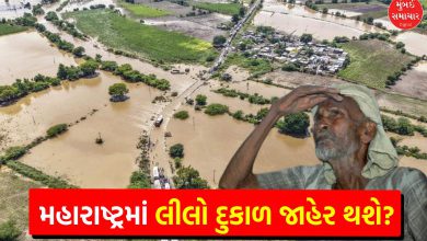 Maharashtra to Declare Wet Drought After Heavy Rains