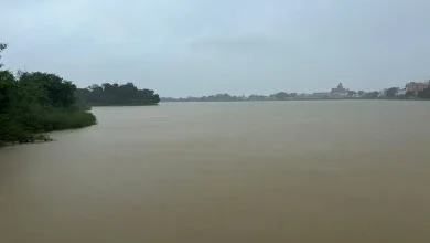 કચ્છમાં મેઘમહેર! લખપતમાં સૌથી વધુ સાડા પાંચ ઇંચ વરસાદ, ૯ ડેમો છલકાયા