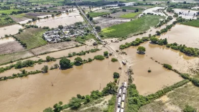 Marathwada rain 104 deaths, 2,838 animals dead