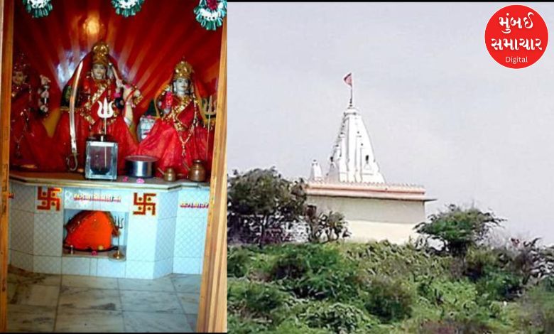 Why have camels flocked to the temple of Bhed Mataji amidst the pouring rain?