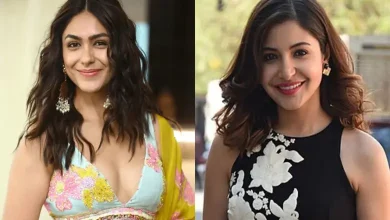 મૃણાલ ઠાકુરે એક ઈન્ટરવ્યુમાં નામ લીધા વગર અનુષ્કા શર્માને ટોણો માર્યો હોવાનું કહેવાય છે. જાણો મૃણાલે શું કહ્યું અને શા માટે આ વિવાદ શરૂ થયો.