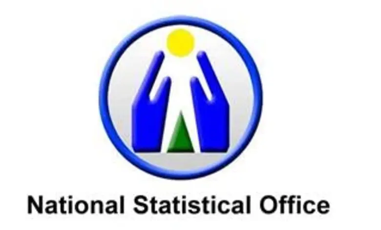 nso Survey report Employment in the unorganized sector