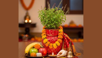 આજે એકાદશી પર તુલસી સાથે સંકળાયેલી આ ભૂલ બિલકુલ ના કરતાં, નહીંતર...