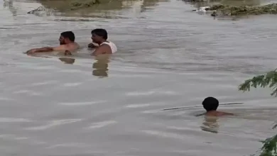 પાટણની ખારી નદી, જ્યાં પૂરના પાણીનો પ્રવાહ તેજ છે, અને દૂરથી બચાવ કાર્ય ચાલી રહ્યું છે.